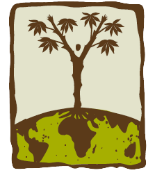 NextGen Cassava Breeding Project